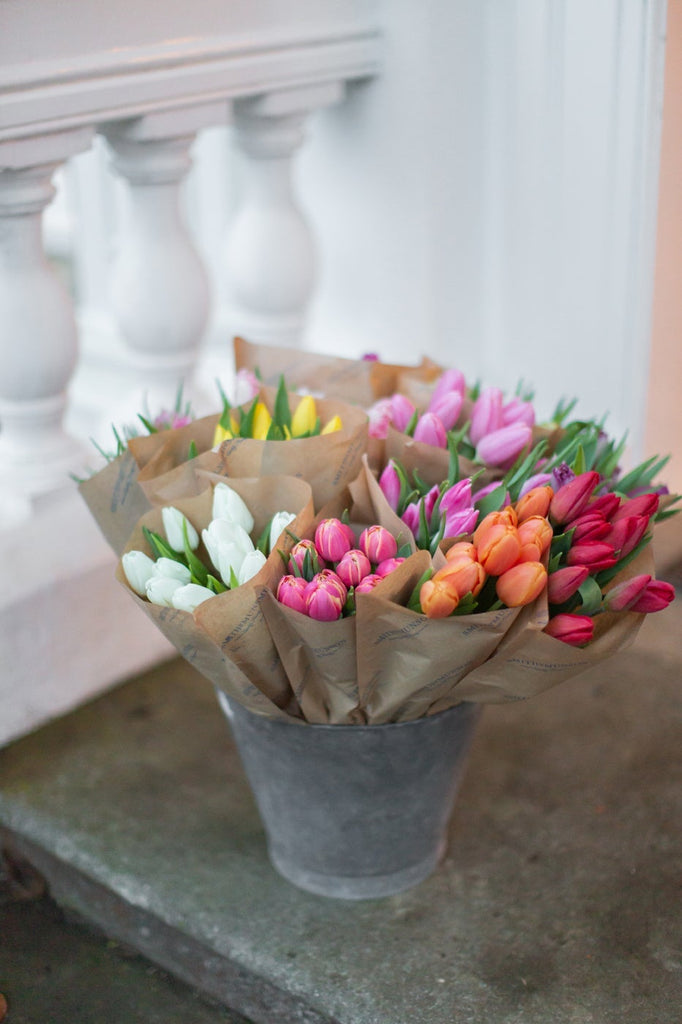 Smith & Munson - Mixed British Tulip Bucket